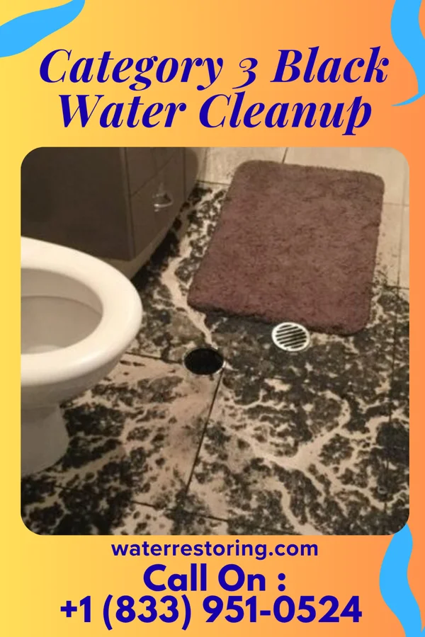Category 3 Black Water Cleanup in Scotland, VA