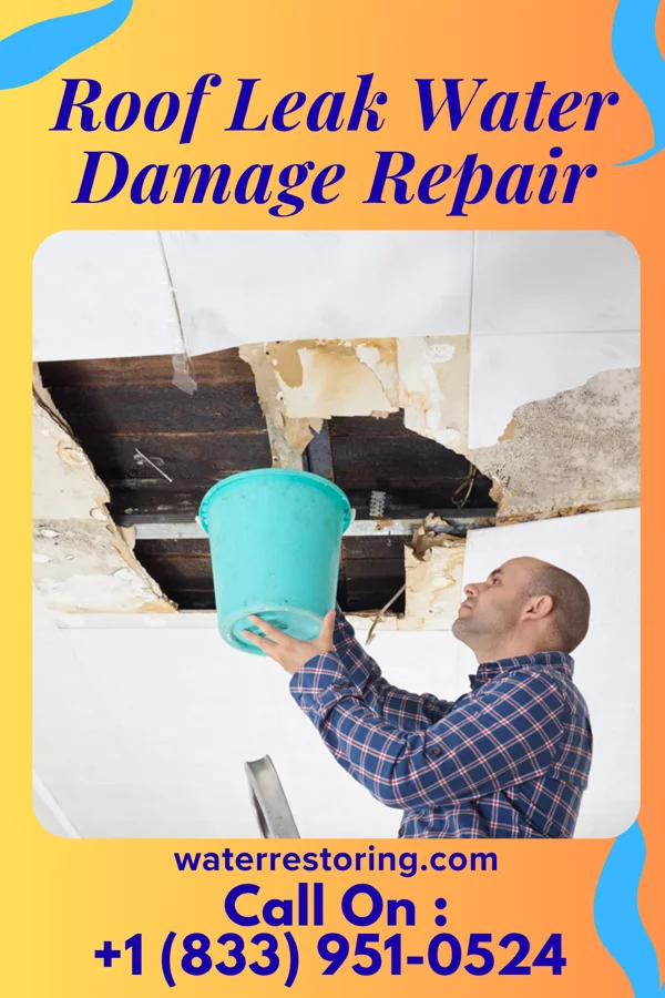 Roof Leak Water Damage Repair in Scotland, VA