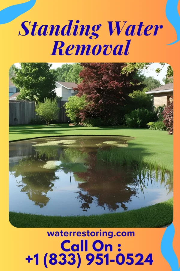 Standing Water Removal in Scotland, VA